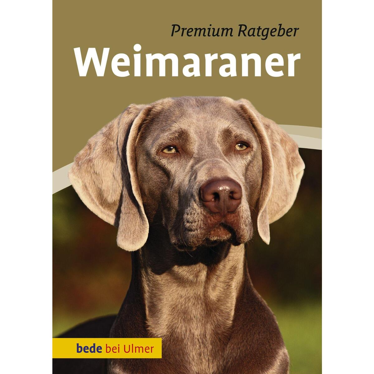 Weimaraner von Ulmer Eugen Verlag