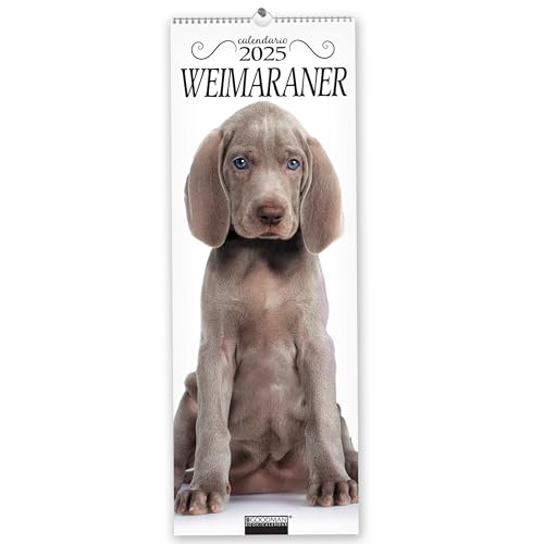 Weimaraner. Calendario 2025. Long Weimaraner. Calendario 2025. Long von Sprea Editori