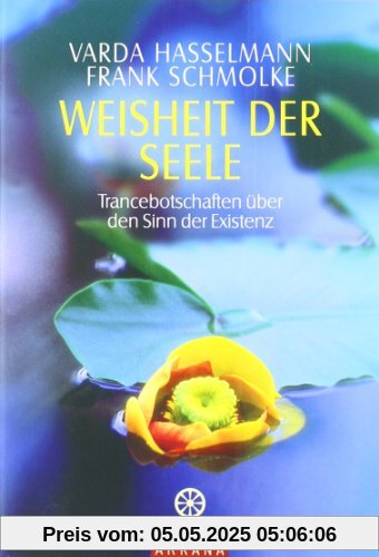 Weisheit der Seele: Trancebotschaften über den Sinn der Existenz