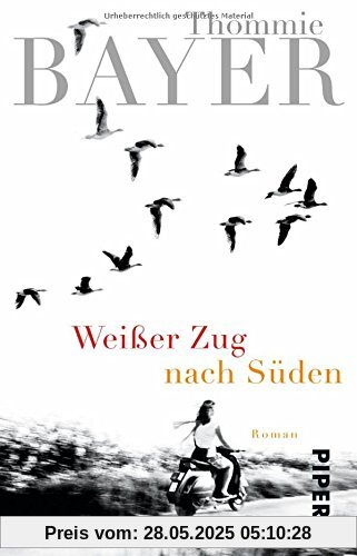 Weißer Zug nach Süden: Roman