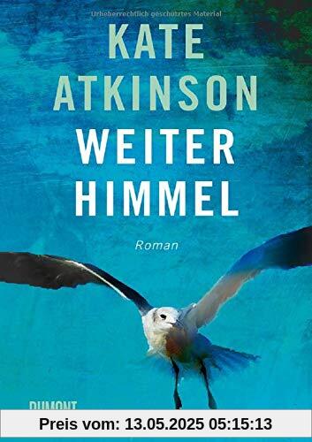 Weiter Himmel: Roman (Jackson-Brodie-Reihe, Band 5)