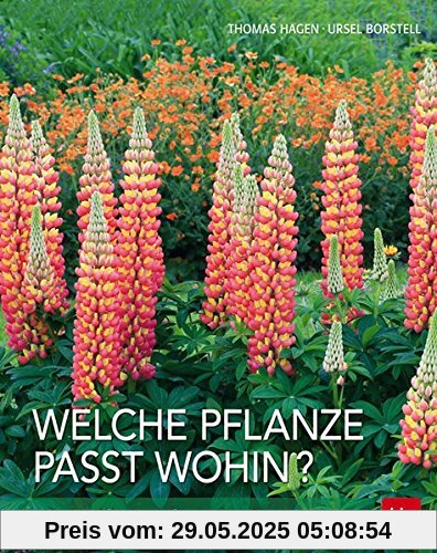 Welche Pflanze passt wohin?: Ideale Pflanzen für jeden Standort Welche Pflanze passt wohin?: Ideale Pflanzen für jeden Standort