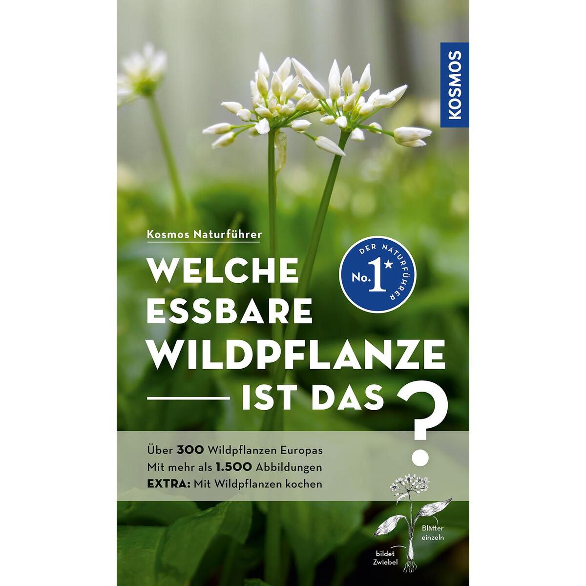 Welche essbare Wildpflanze ist das? von Franckh-Kosmos