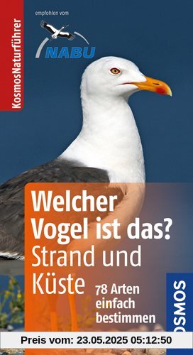 Welcher Vogel ist das? an Strand und Küste: 78 Arten einfach bestimmen