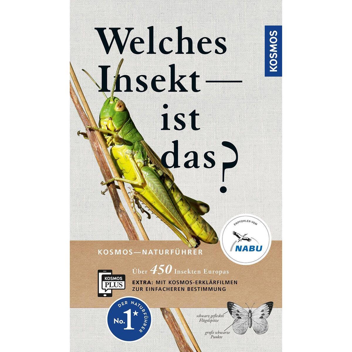 Welches Insekt ist das? von Franckh-Kosmos