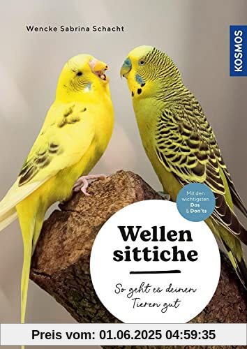 Wellensittiche: So geht es deinen Tieren gut