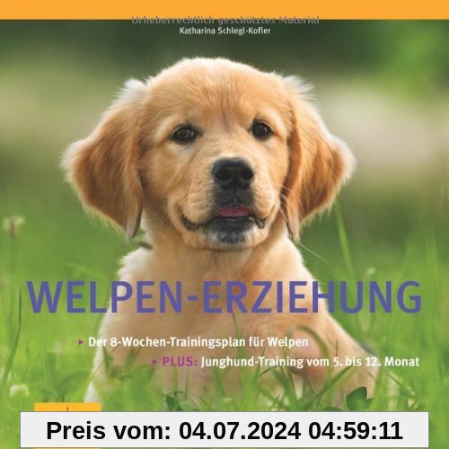 Welpen-Erziehung: Der 8-Wochen-Trainingsplan für Welpen. Plus Junghund-Training vom 5. bis 12. Monat (GU Tier - Spezial)
