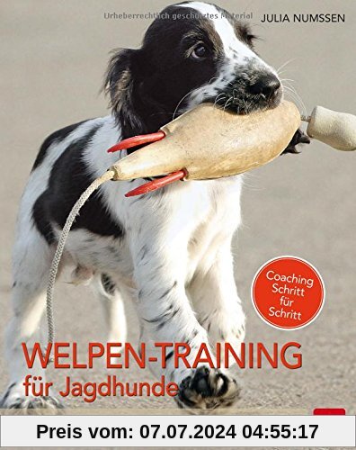 Welpen-Training für Jagdhunde: Das 24-Wochen Ausbildungsprogramm