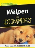 Welpen für Dummies Welpen für Dummies