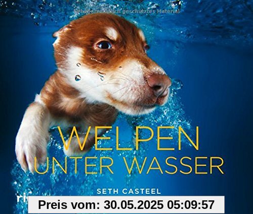 Welpen unter Wasser