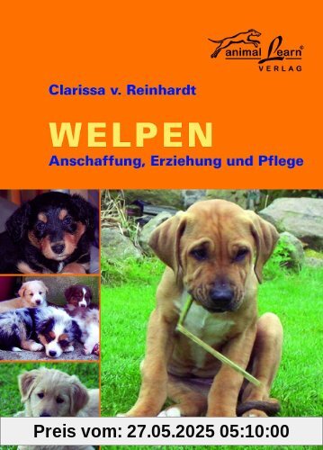 Welpen: Anschaffung, Erziehung und Pflege