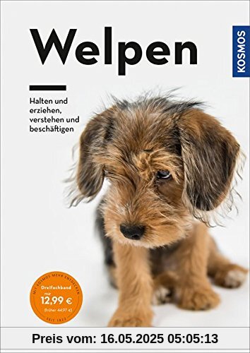 Welpen: Halten und erziehen, verstehen und beschäftigen