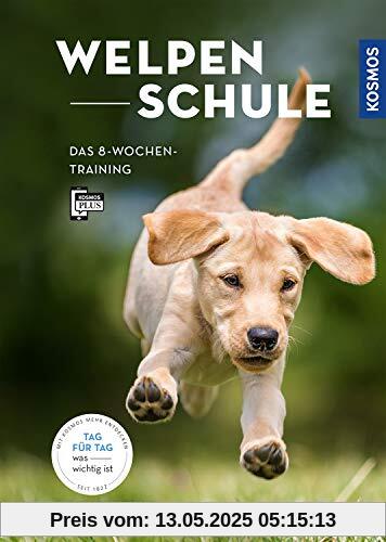 Welpenschule: Das 8-Wochen-Training