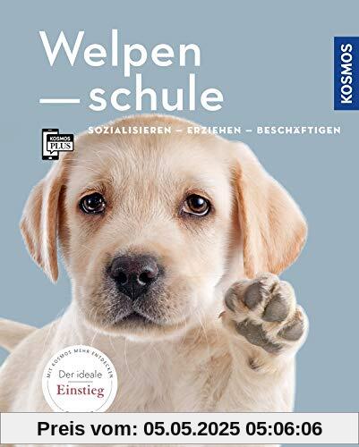 Welpenschule: Sozialisieren, Erziehen, Beschäftigen (Mein Tier)