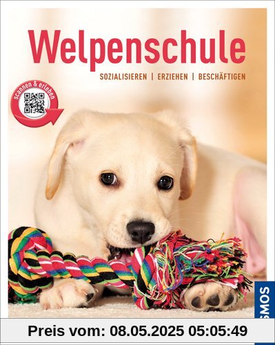 Welpenschule: Sozialisieren, Erziehen, Beschäftigen