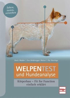 Welpentest und Hundeanalyse von Müller Rüschlikon