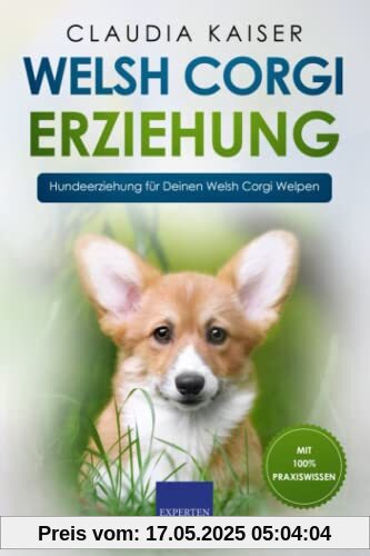 Welsh Corgi Erziehung: Hundeerziehung für Deinen Welsh Corgi Welpen Welsh Corgi Erziehung: Hundeerziehung für Deinen Welsh Corgi Welpen