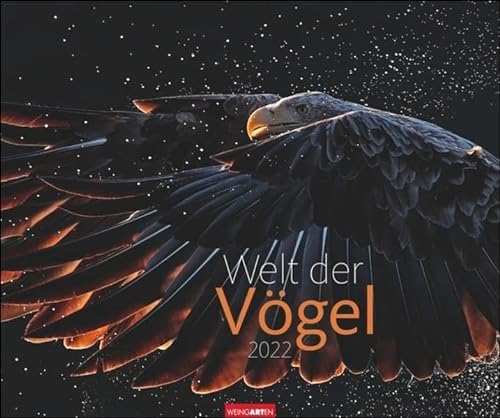 Welt der Vögel Kalender 2022 - Tierkalender - Wandkalender mit internationalem Monatskalendarium - 12 Farbfotos - 55 x 46 cm