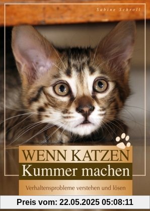 Wenn Katzen Kummer machen: Verhaltensprobleme verstehen und lösen