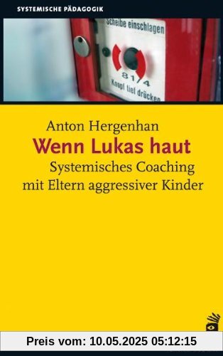 Wenn Lukas haut: Systemisches Coaching mit Eltern agressiver Kinder