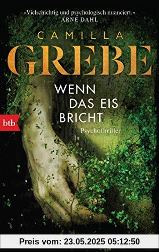 Wenn das Eis bricht: Psychothriller (Die Profilerin, Band 1)