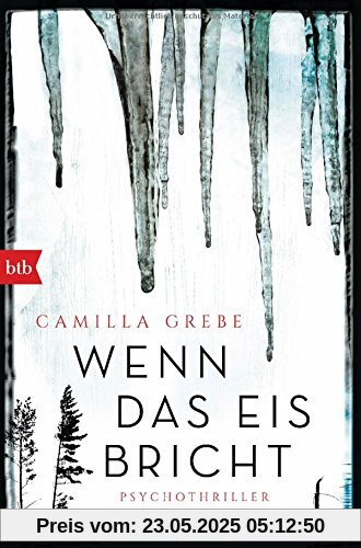 Wenn das Eis bricht: Psychothriller