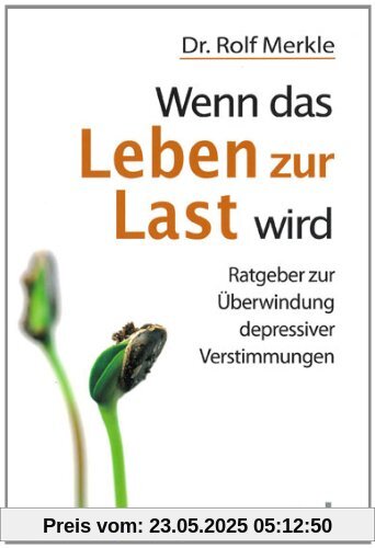 Wenn das Leben zur Last wird: Ein praktischer Ratgeber zur Überwindung seelischer Tiefs und depressiver Verstimmungen