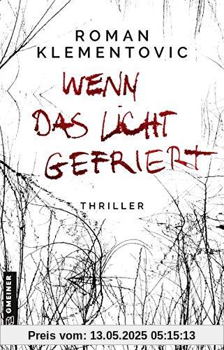 Wenn das Licht gefriert (Thriller im GMEINER-Verlag)