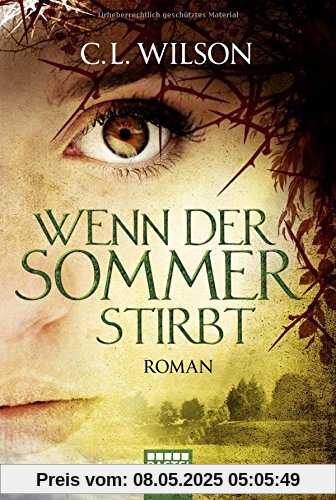 Wenn der Sommer stirbt: Roman