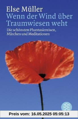 Wenn der Wind über Traumwiesen weht: Die schönsten Phantasiereisen, Märchen und Meditationen