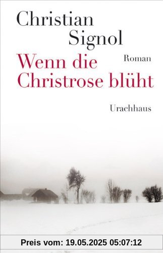 Wenn die Christrose blüht