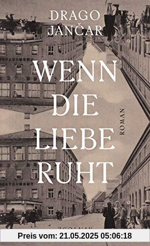 Wenn die Liebe ruht: Roman