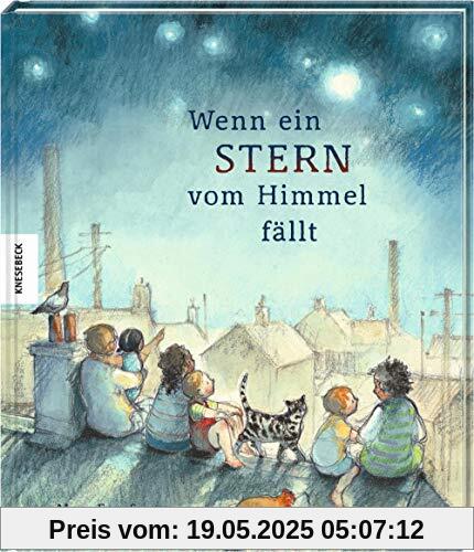 Wenn ein Stern vom Himmel fällt: Vorlesebuch für Kinder ab 4 Jahren