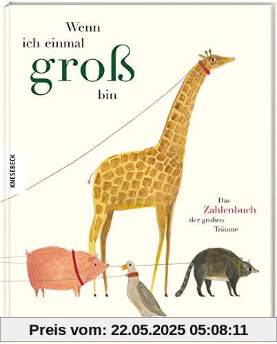 Wenn ich einmal groß bin: Das Zahlenbuch der großen Träume