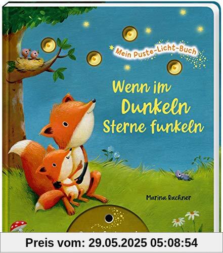 Wenn im Dunkeln Sterne funkeln: | Gute-Nacht-Buch mit Puste-Licht und LED-Lämpchen, Mitmachbuch für Kinder ab 18 Monaten (Mein Puste-Licht-Buch)