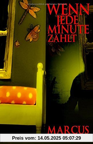 Wenn jede Minute zählt (Ein Peter-Stenzel-Thriller, Band 1)