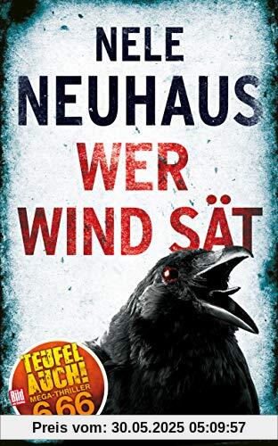 Wer Wind sät (BILD am Sonntag Thriller 2019)