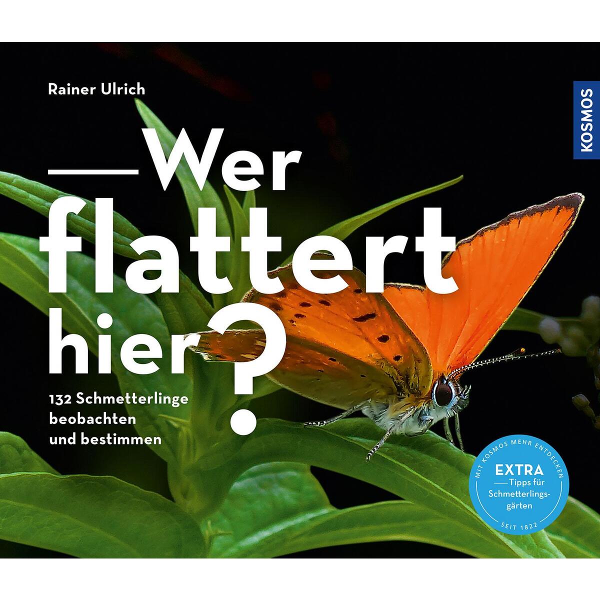 Wer flattert hier Wer flattert hier von Franckh-Kosmos