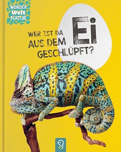 Wer ist da aus dem Ei geschlüpft? von klein & gro� Verlag