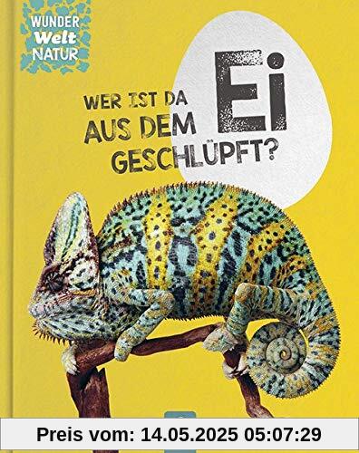 Wer ist da aus dem Ei geschlüpft? Wer ist da aus dem Ei geschlüpft?