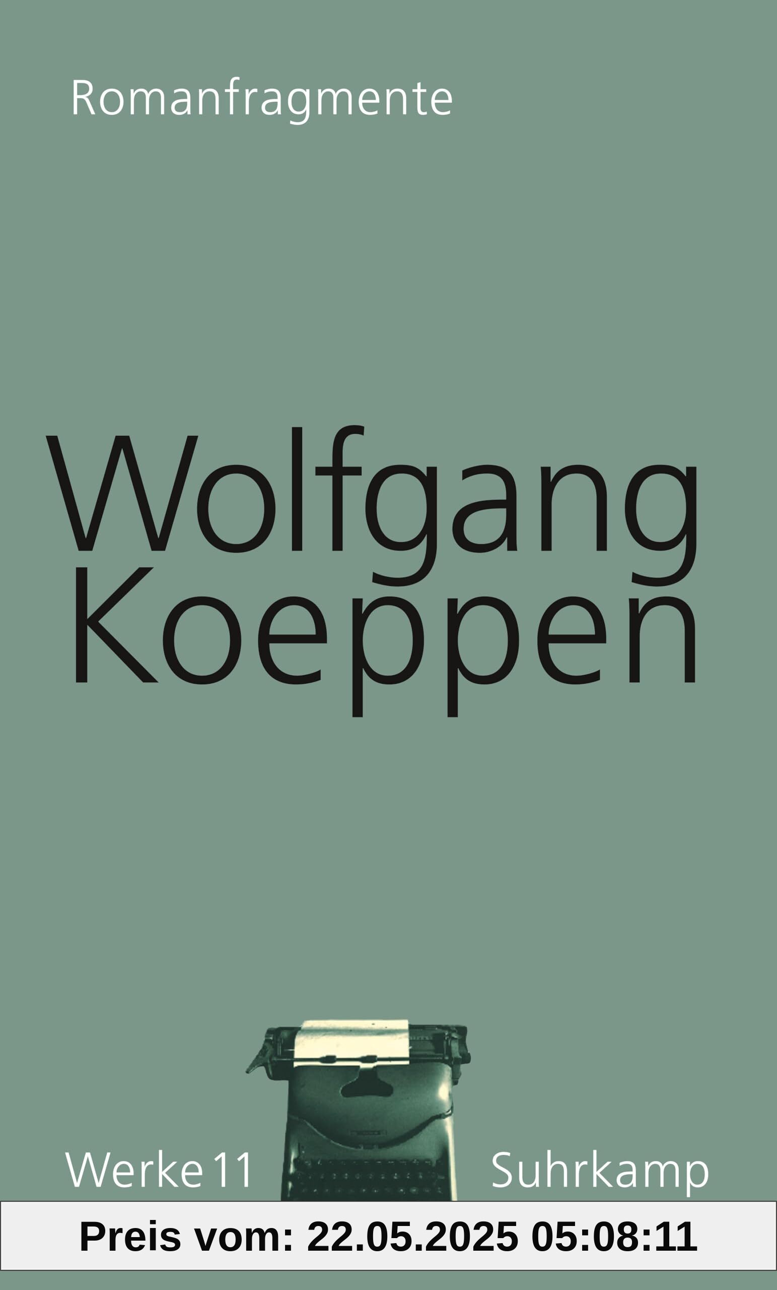 Werke in 16 Bänden: Band 11: Romanfragmente