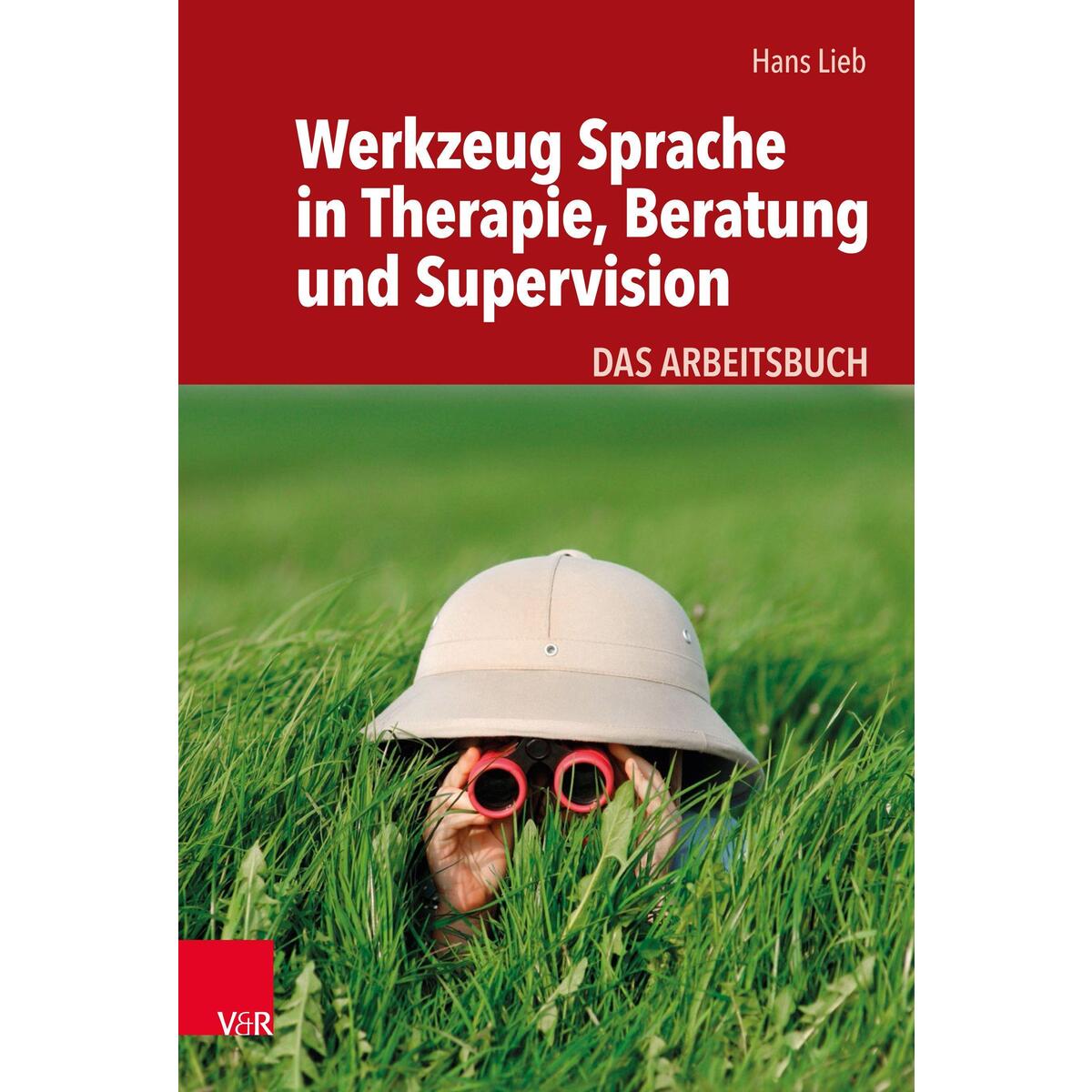 Werkzeug Sprache in Therapie, Beratung und Supervision von Vandenhoeck + Ruprecht