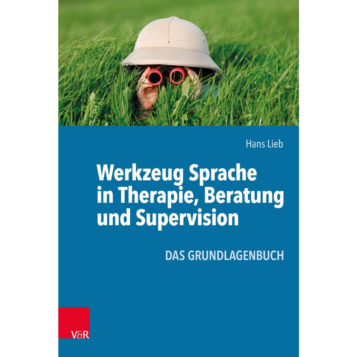 Werkzeug Sprache in Therapie, Beratung und Supervision von Vandenhoeck + Ruprecht