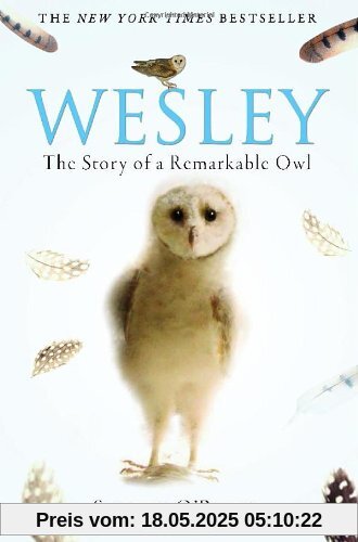 Wesley: The Remarkable Story of an Owl