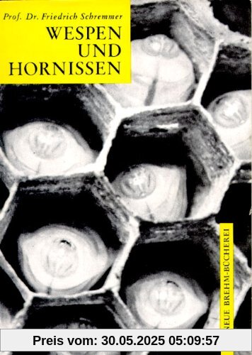 Wespen und Hornissen: Die einheimischen sozialen Faltenwespen Wespen und Hornissen: Die einheimischen sozialen Faltenwespen