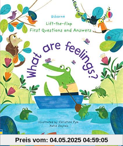 What Are Feelings?: Lift-the-Flap First Questions & Answers