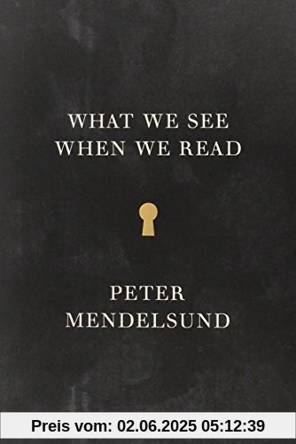 What We See When We Read (Vintage Original)