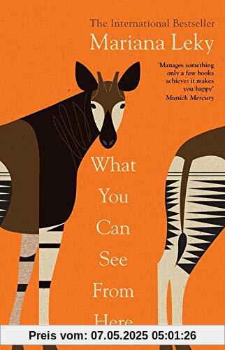 What You Can See From Here: The 'warm and curious' bestselling phenomenon