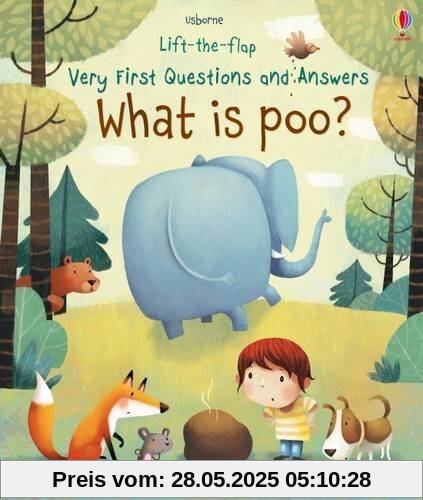 What is Poo?: Very First Lift-the-Flap Questions & Answers