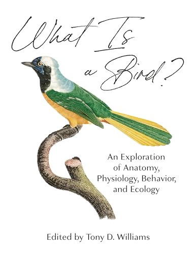 What Is a Bird? - An Exploration of Anatomy, Physiology, Behavior, and Ecology von Princeton University Press
